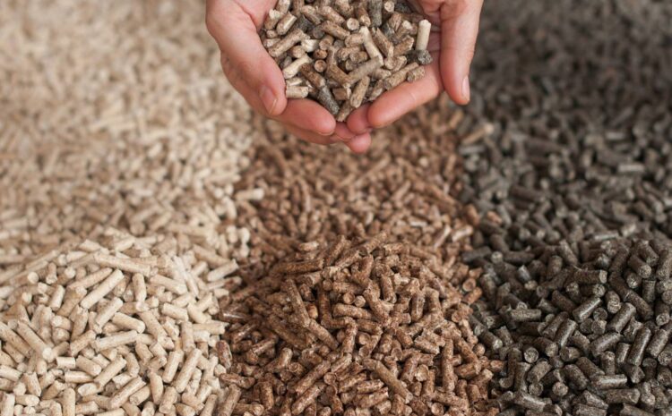  Czym jest biomasa i co się do niej zalicza?— co to jest i z czego powstaje?