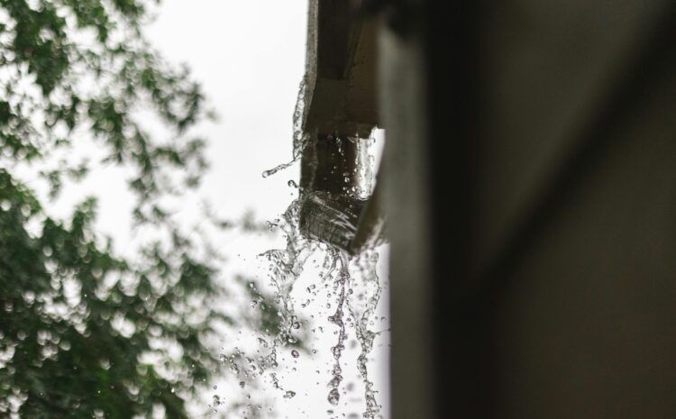  Odprowadzanie wody z rynien na trawnik – sposoby, zalety i najczęstsze błędy