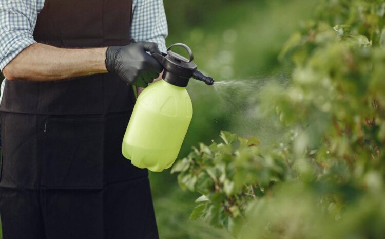  Jak stosować Quelex Complex Pak w ochronie roślin