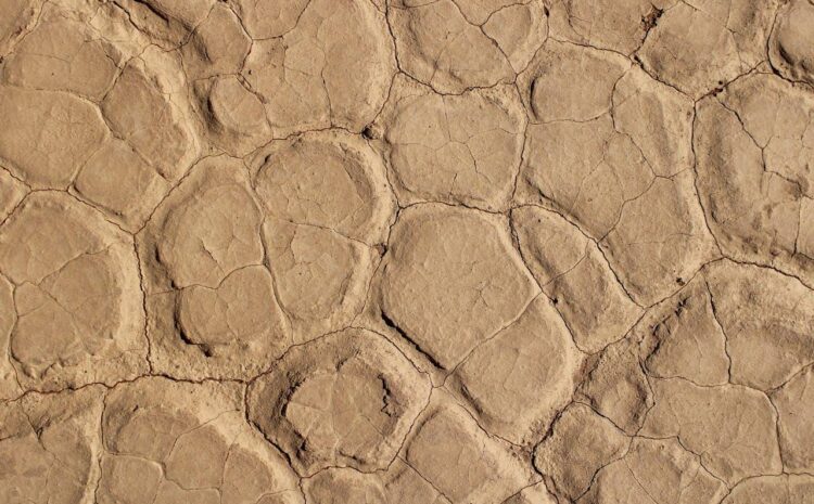  Przewodnik po badaniach geofizycznych: jak bezinwazyjnie ustalić układ podziemnych struktur